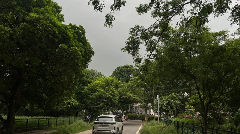 Punjab Weather Update: IMD Issues Yellow Alert in a District; Rainfall Likely Over Eastern Districts