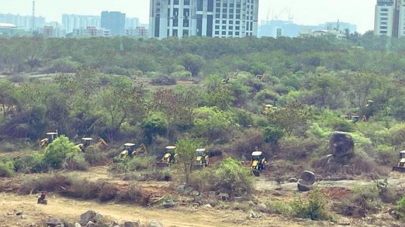 Supreme Court Orders Interim Report on 400-Acre Deforestation in Telangana. (Credit: the print)