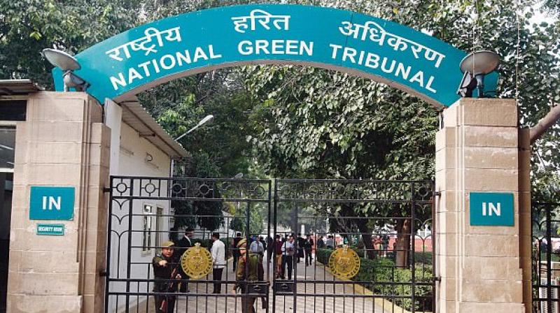 National Green Tribunal