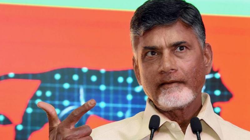 Andhra Pradesh Chief Minister N Chandrababu Naidu