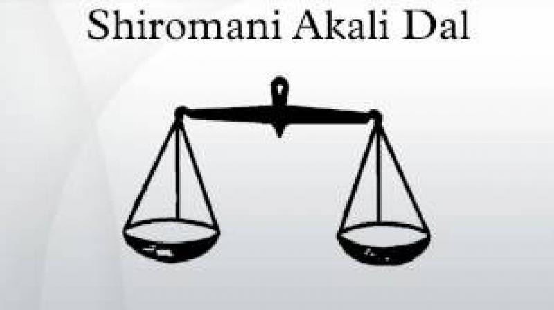 Shiromani Akali Dal Announces Working Committee: Proper Representation to Every Section Of Society
