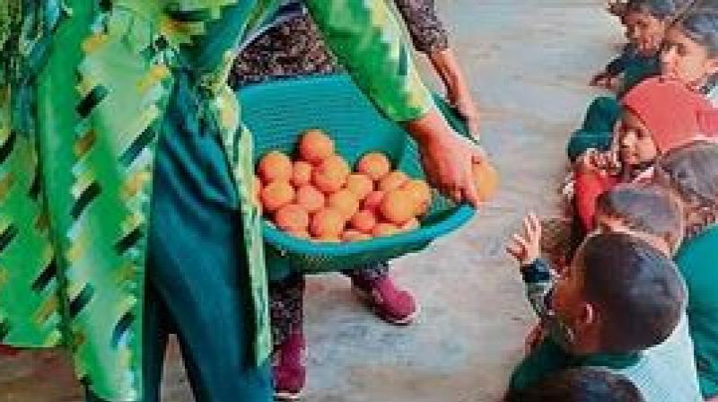 By collaborating with the Agriculture, Horticulture, and Education Departments, these areas will be transformed into herbal and fruit gardens. File Photo.