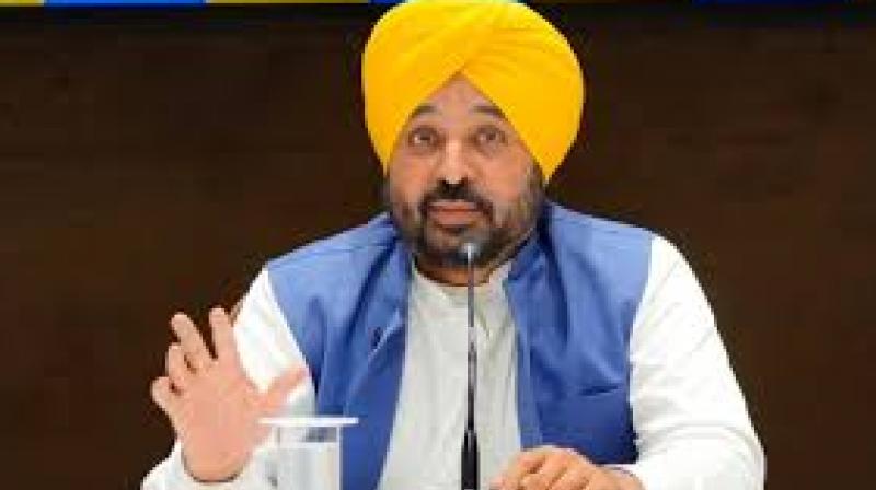 Minister Cheema noted that while Tripura has a digital university, Punjab is the first to provide a structured policy and model. File Photo.