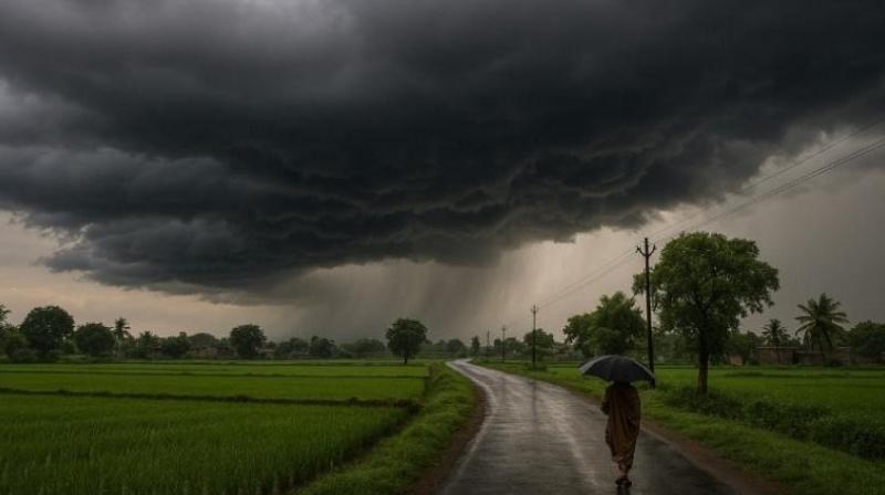 IMD issues rainfall warning; farmers advised to withhold irrigation and field operations