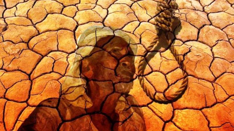 Farmer on dharna dies