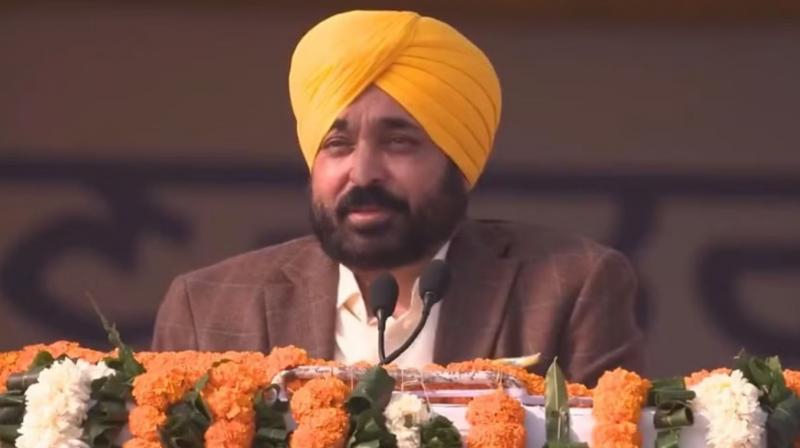 Online Coaching and Business Blasters Program Lead the Way for Holistic Development