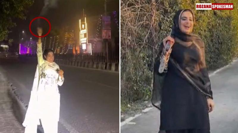 Bathinda: FIR Registered After Viral Videos Show Woman Flaunting Weapons on Social Media