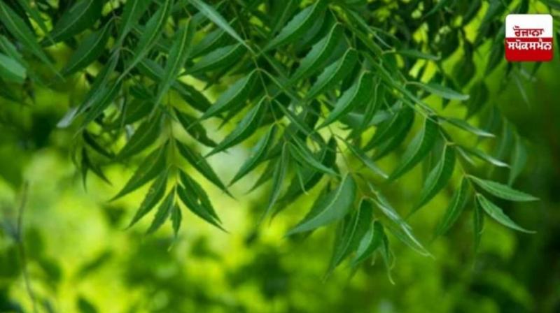  Uncovering the Agricultural Hidden Gem