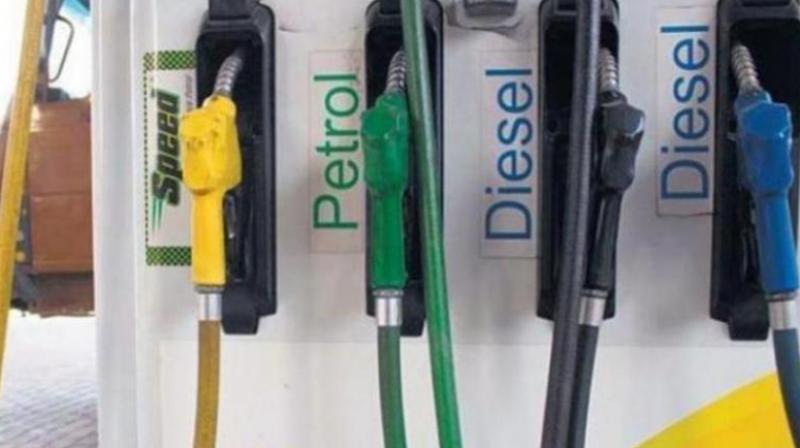 Petrol and Diesel