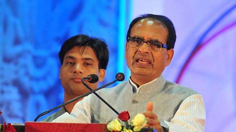 The AI-based system aims to improve decision-making, minimise risks, increase profitability and encourage sustainable farming practices. File Photo.