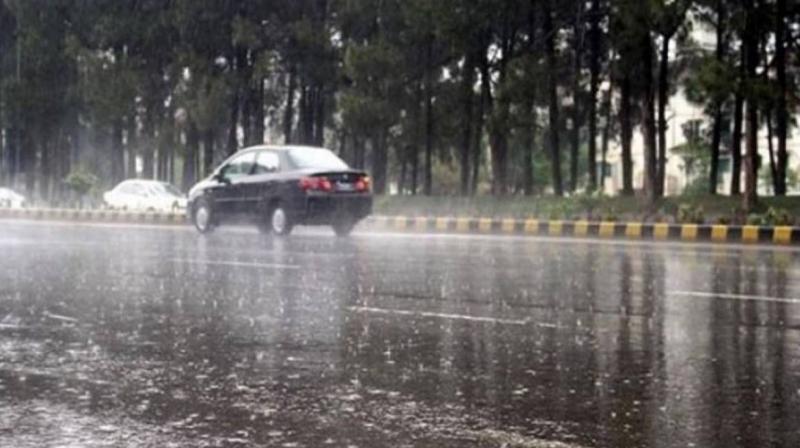Punjab Weather Update: Monsoon to Become Active in Punjab, Rain Likely in 15 Districts