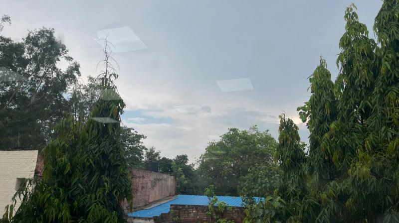 Punjab Weather July 13: IMD Chandigarh Issues Orange and Yellow Alerts for Punjab in Its Nowcast