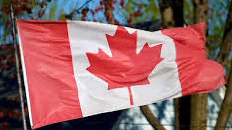 Federal investigators revealed that as of January 20, 2026, nine individuals linked to these activities have already been removed from Canada.  File Photo.