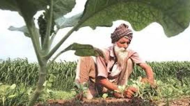 Officials argue the Bill seeks to centralise regulation, stripping states of their existing powers and reducing state-level bodies to a purely advisory role. File Photo.