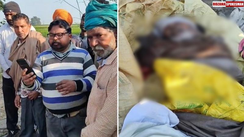 Punjab: 65 year old man mauled to death by stray dogs in Ferozepur 