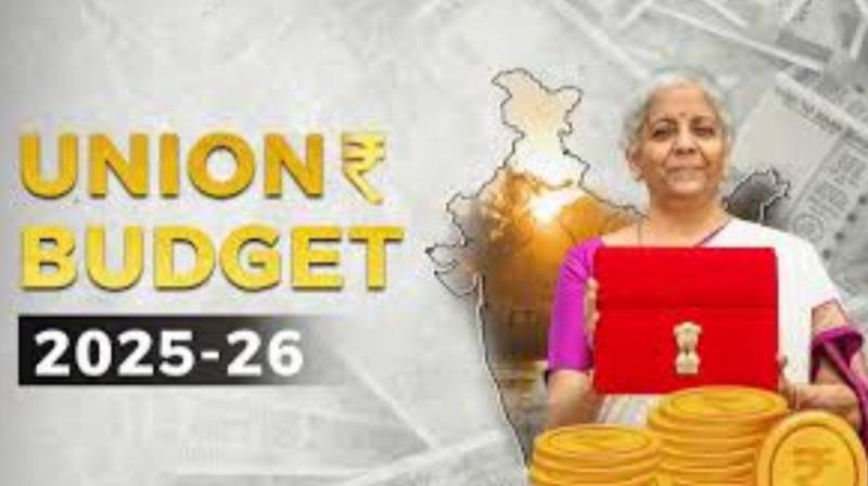 Union Budget 2025: What's low cost and What's high cost  for Consumers?
