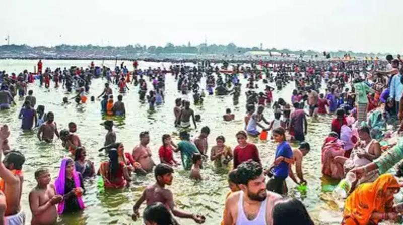 Health at Risk: NGT Calls for Strict Action Over Faecal Coliform Contamination in Prayagraj Waters