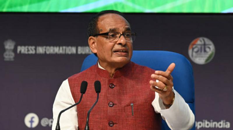 Chouhan also highlighted that broader investments in agricultural infrastructure, including cold storage and warehouses, have significantly improved resource management and reduced post-harvest losses. File Photo.
