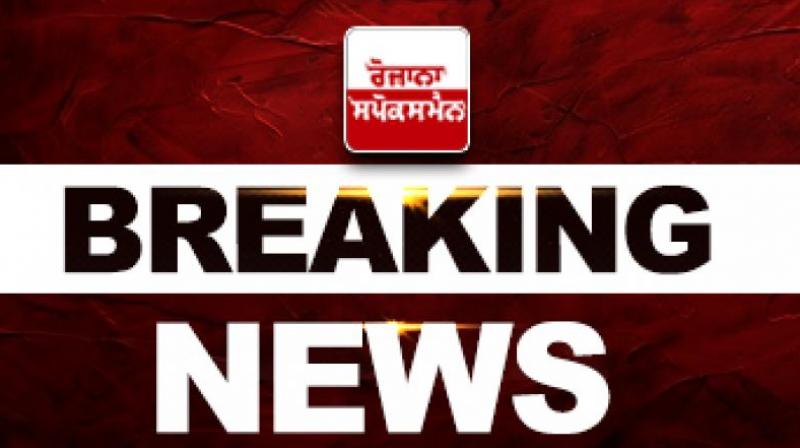 AAP’s Historic Performance in Punjab’s Municipal Elections 2024, 'BJP and Akali Dal Wiped Out'