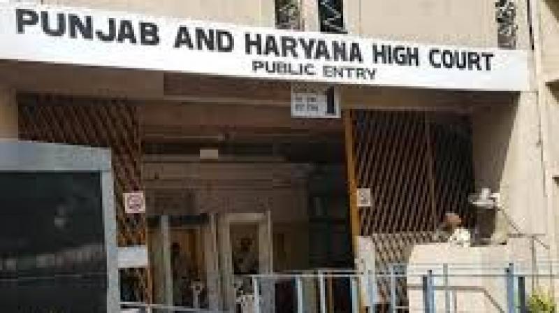 He directed FCI to carry out a one-time regularisation exercise for the petitioners and other similarly placed long-serving casual workers within four months. File Photo.