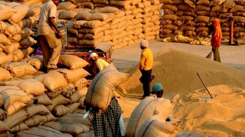 Patiala Leads in Number of Farmers Benefiting from MSP During Paddy Procurement Season (Representative Image)