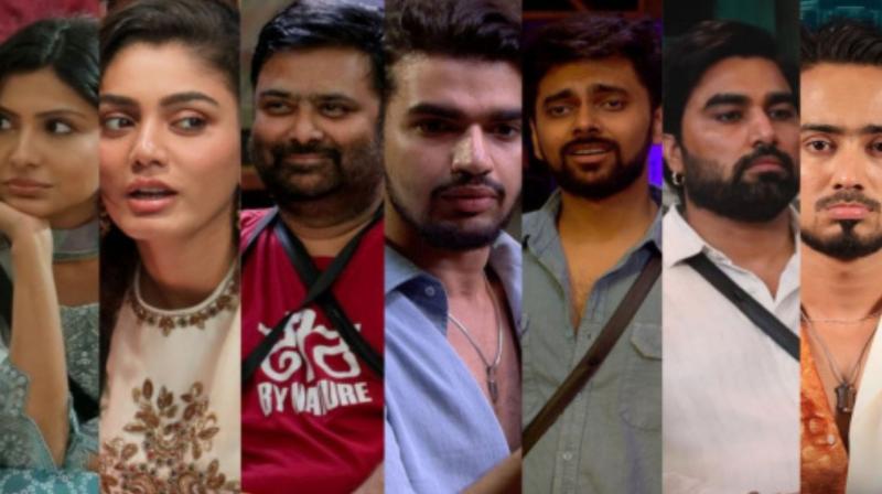 Bigg Boss OTT 3 Elimination News: Adnaan Sheikh and Sana Sultan Evicted! 