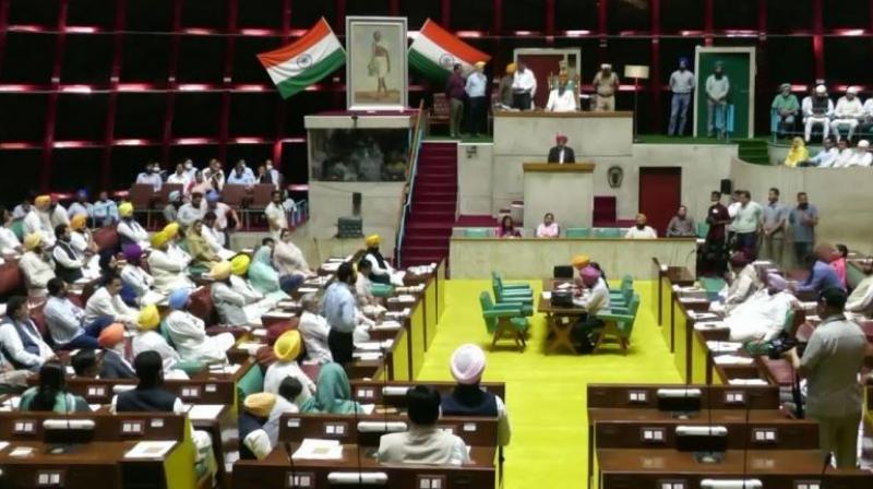 Punjab Vidhan Sabha Passes Key Bills, Incl.  New Private Universities and Animal Welfare Amendments