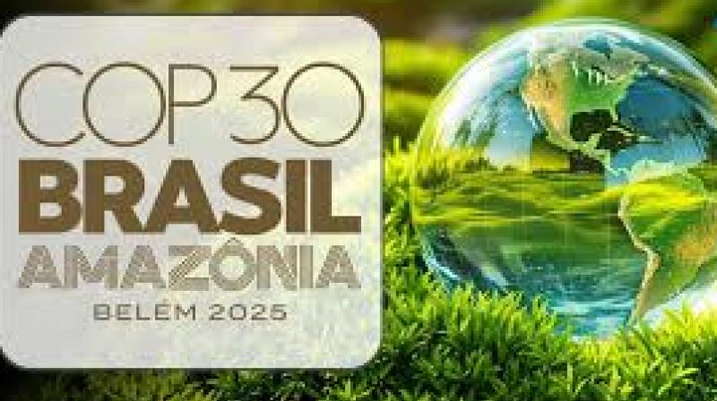 India highlighted that the world is celebrating “10 years of the Paris Agreement and 33 years of the UN Climate Convention”. File Photo