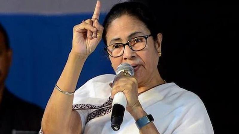 ‘Sheer audacity on the part of ECI': CM Mamata slams ECI for “Unplanned” SIR Process