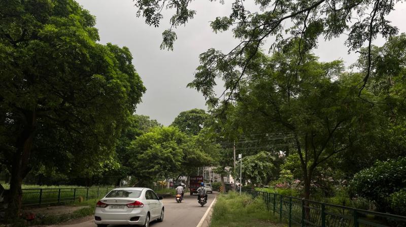 Punjab Weather Updates: Expected to Remain Pleasant Throughout the Week