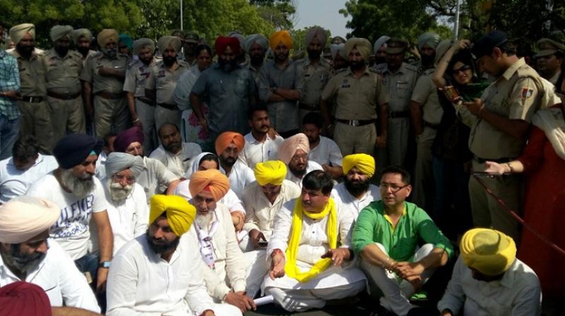 AAP MLAs, MPs sits on dharna