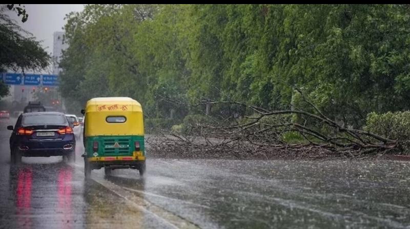 Punjab Weather Update: Here's What IMD said about next few days