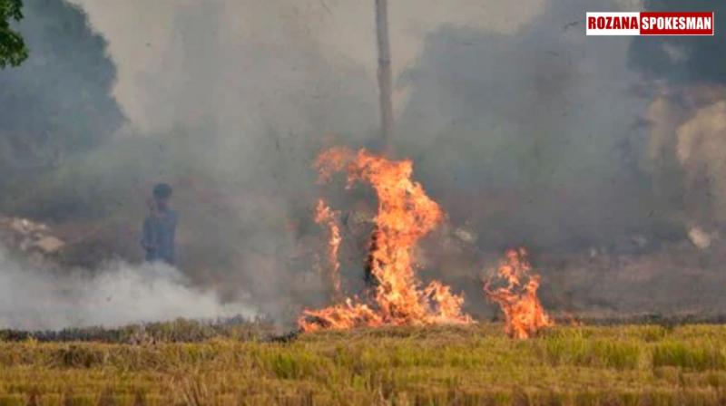 Stubble Burning Raises Pollution Levels, Air Quality in Bathinda Reaches Hazardous Levels