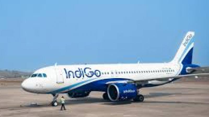 The board's move comes amid mounting pressure on IndiGo to give an explanation for the large-scale disruptions occurring at the country's largest domestic carrier. File Photo.