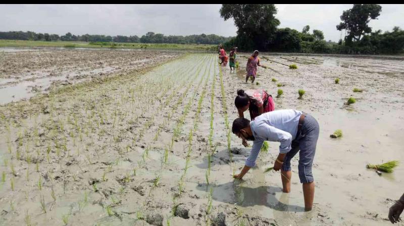 'Farming resulted in increasing income of farmers and reducing their migration activities'