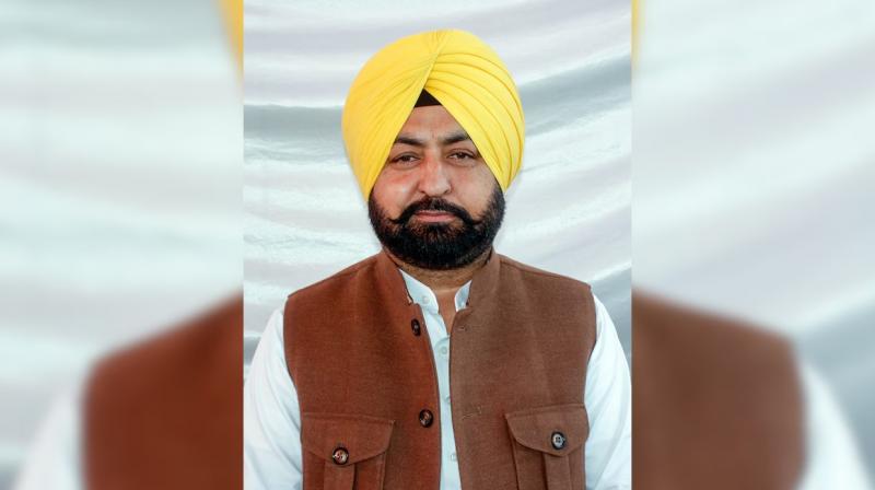 Punjab Govt Introduces Clear SOPs to Fast-Track Licensing Process for Colony Developers