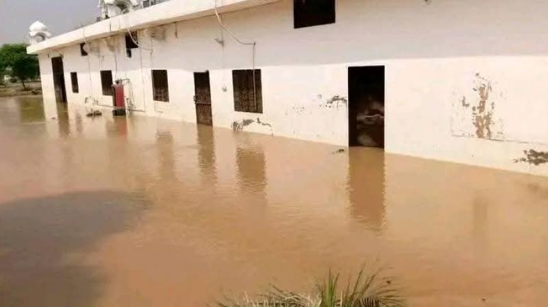 Punjab Weather: Amid Floods Situations, IMD Warns Of Further Rainfall In Eastern Districts Punjab Weather: Amid Floods Situations, IMD Warns Of Further Rainfall In Eastern Districts