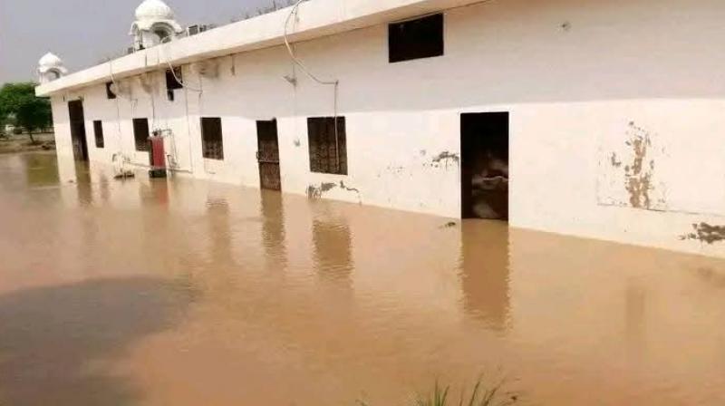 National Food Bowl In Perils As 4l Acres Submerged, Seeks Immediate Relief From Centre: IPRD, Punjab