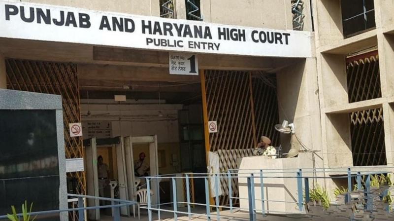 Punjab High Court takes strict stance against corrupt govt employees; Demands report from Chief Secretary
