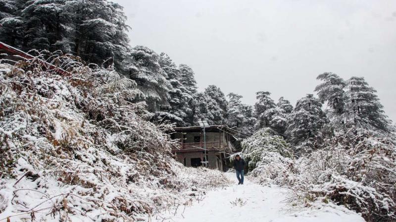 Himachal Weather Update: Here's What's IMD Says About Weather This Week 