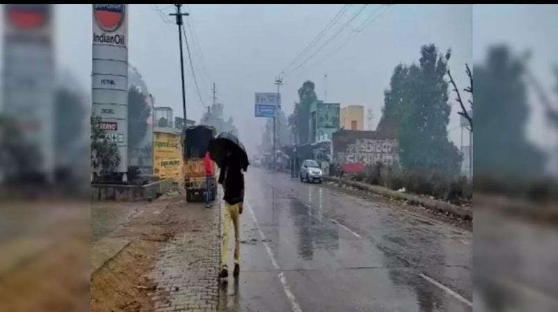 Punjab Weather Update: Here's What IMD said about the next few days