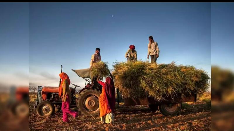 Centre likely to consider Rs 50,000-crore scheme to incentivise states for agriculture reforms