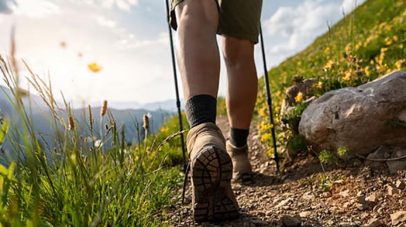 The ban is set to remain in force for two months from the date of issuance unless it is withdrawn earlier or extended as per law. File Photo.