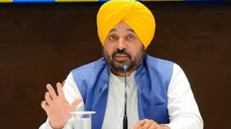 Punjab Govt Develops 8 Forest & Nature Awareness Parks to Increase Green Cover