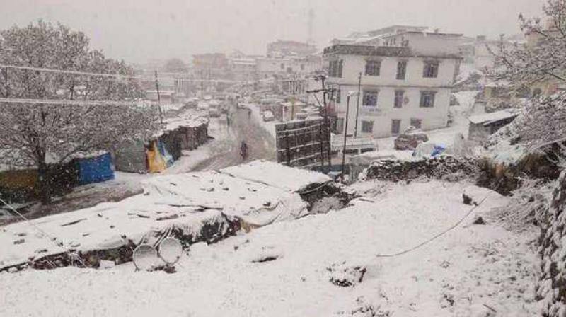 Chardham Yatra resumes as weather clears up