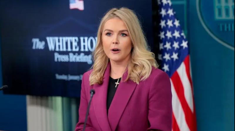 White House Warns Gang Members After Supreme Court Clears Use of Alien Enemies Act, (Image courtesy: Busines Insider)