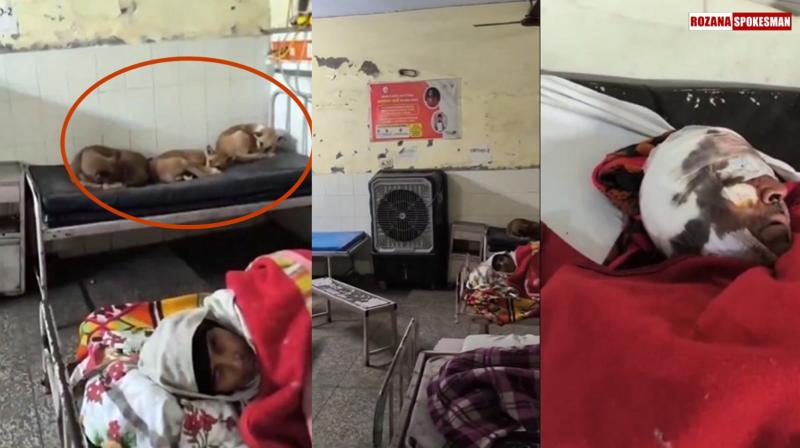 Uttar Pradesh govt hospitals collapsing and no longer safe? Yogi failing? Here's what's Happening