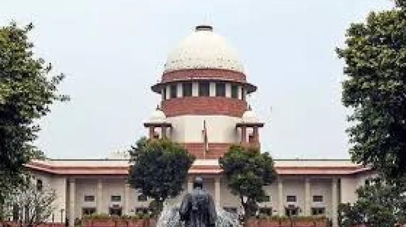 The Bench expressed concern over direct cash transfers and indiscriminate free distribution, saying governments should focus on creating employment opportunities that allow people to earn with dignity and self-respect. File Photo.