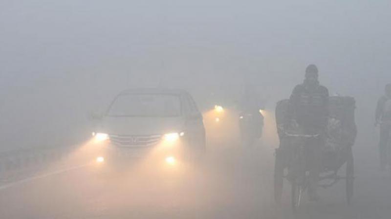Weather Update: Chandigarh Shrouded in Thick Fog; Cold Wave Grips Haryana, Punjab