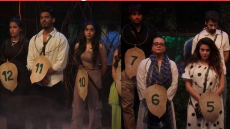 Bigg Boss 18 Elimination This Week: Digvijay Rathee Evicted from BB House